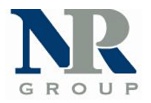 NEW  PARADIGM RESOURCES GROUP